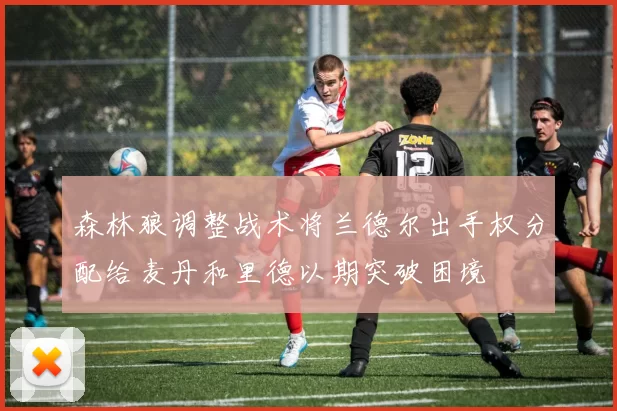 森林狼调整战术将兰德尔出手权分配给麦丹和里德以期突破困境