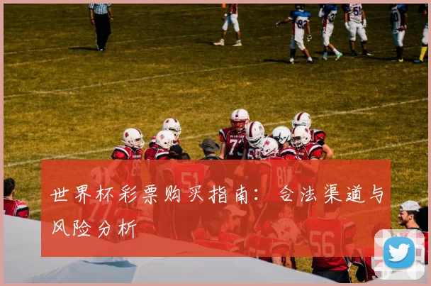 世界杯彩票购买指南：合法渠道与风险分析