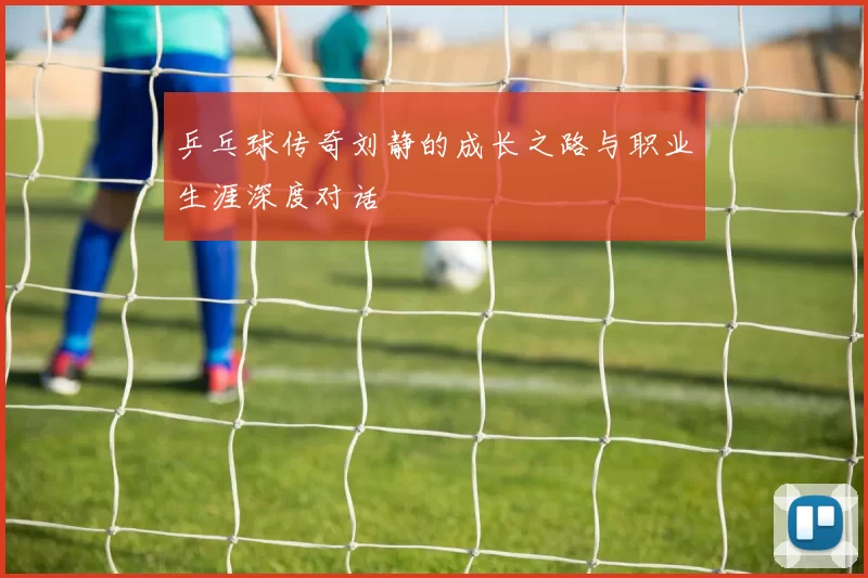 乒乓球传奇刘静的成长之路与职业生涯深度对话