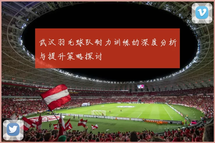 武汉羽毛球队耐力训练的深度分析与提升策略探讨