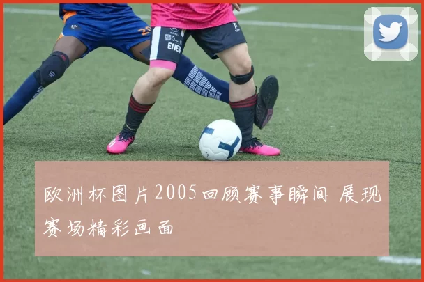 欧洲杯图片2005回顾赛事瞬间 展现赛场精彩画面