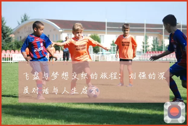 飞盘与梦想交织的旅程：刘强的深度对话与人生启示