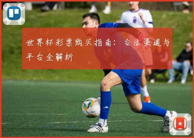 世界杯彩票购买指南：合法渠道与平台全解析