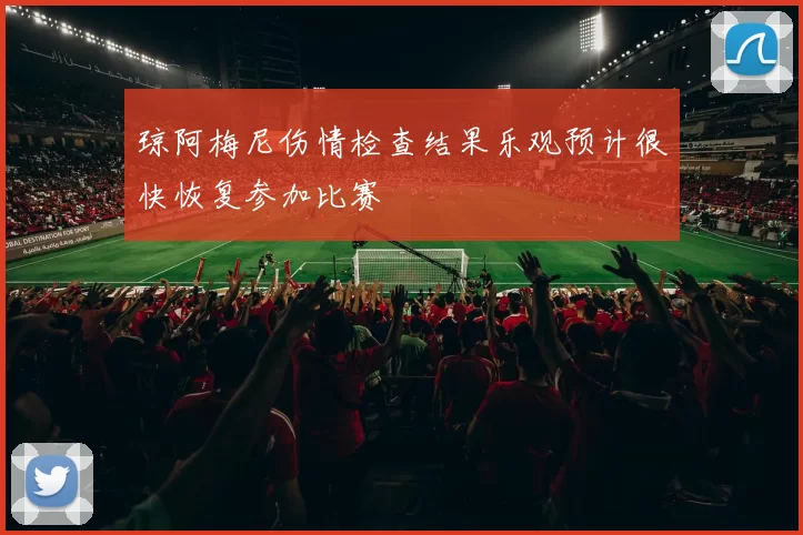 琼阿梅尼伤情检查结果乐观预计很快恢复参加比赛