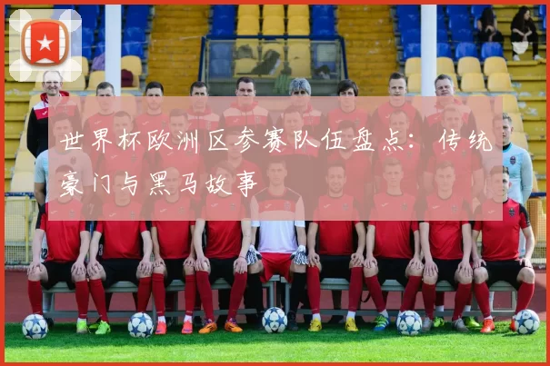 世界杯欧洲区参赛队伍盘点:传统豪门与黑马故事