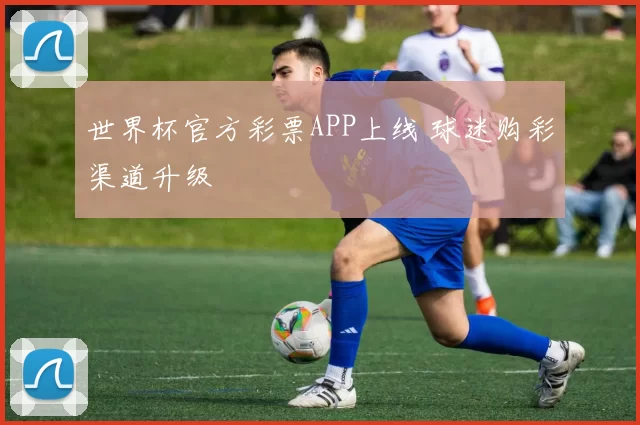 世界杯官方彩票APP上线 球迷购彩渠道升级