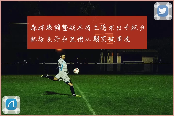 森林狼调整战术将兰德尔出手权分配给麦丹和里德以期突破困境