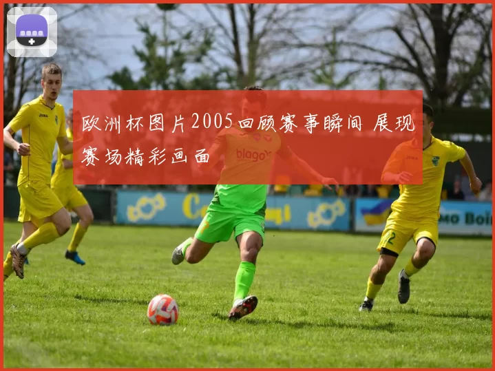 欧洲杯图片2005回顾赛事瞬间 展现赛场精彩画面
