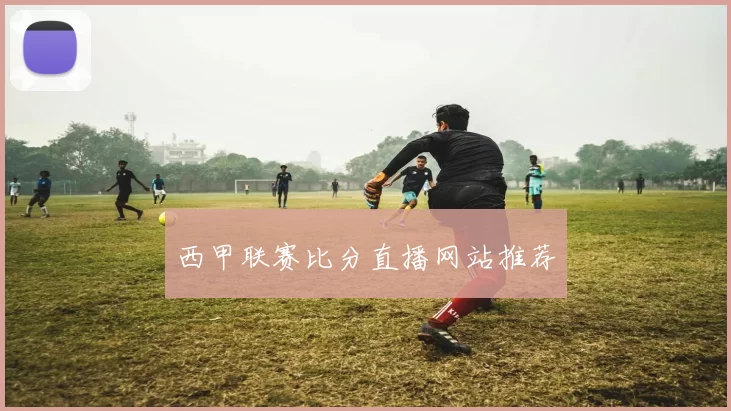 西甲联赛比分直播网站推荐