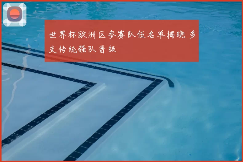 世界杯欧洲区参赛队伍名单揭晓 多支传统强队晋级
