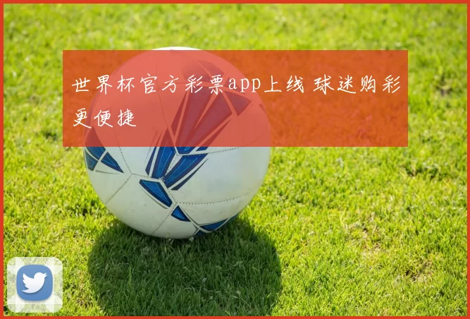 世界杯官方彩票app上线 球迷购彩更便捷