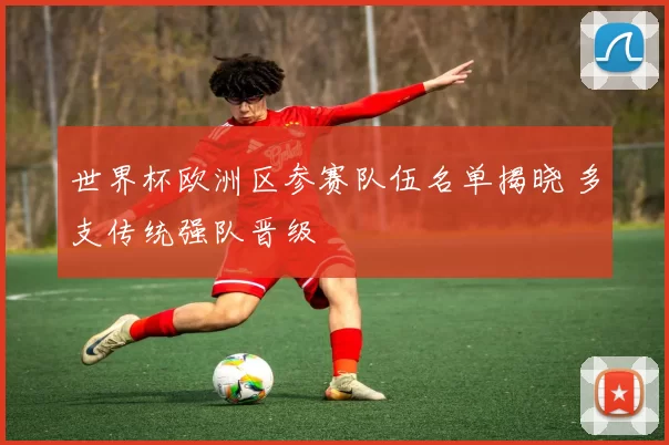 世界杯欧洲区参赛队伍名单揭晓 多支传统强队晋级